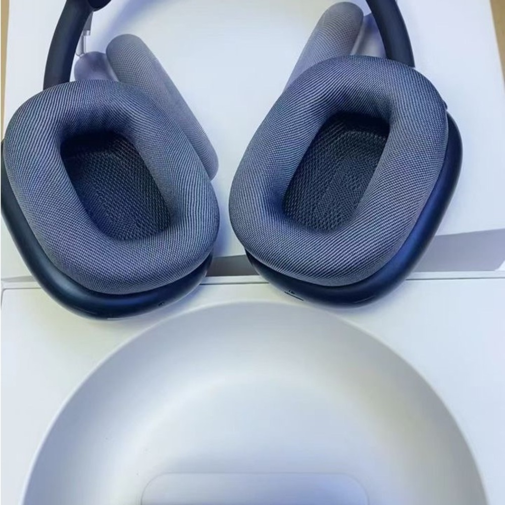 Apple Headphones - Black and Gray